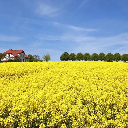 Gollwitzer Park - Insel Poel-9 By Interhome アパート Gollwitz