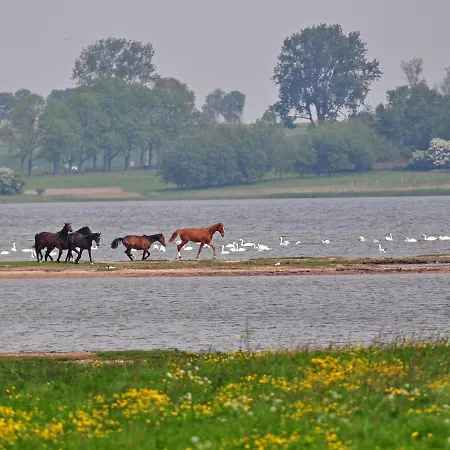 Daire Gollwitzer Park - Insel Poel-9 By Interhome *